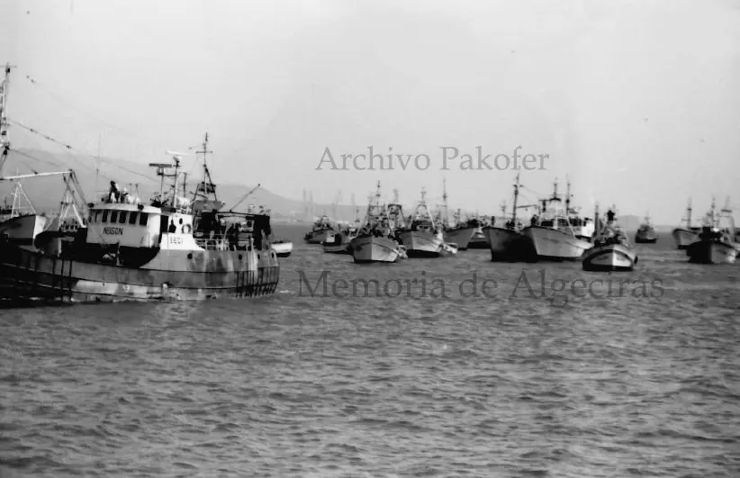 pesca2
