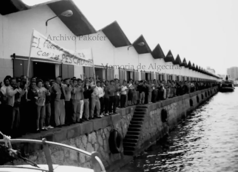 pesca10