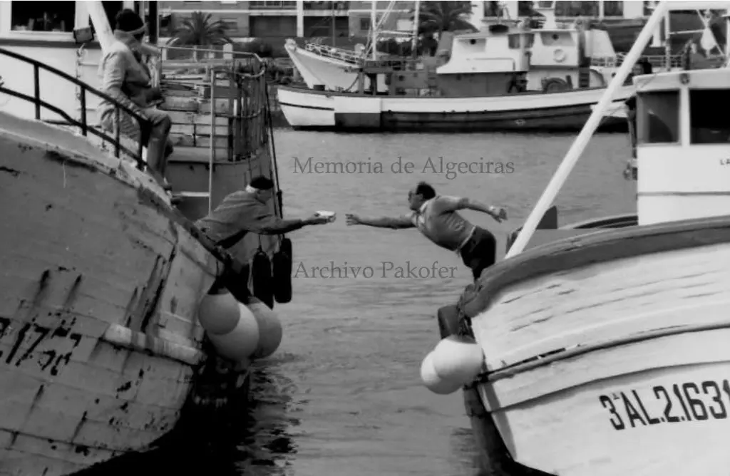 pesca19