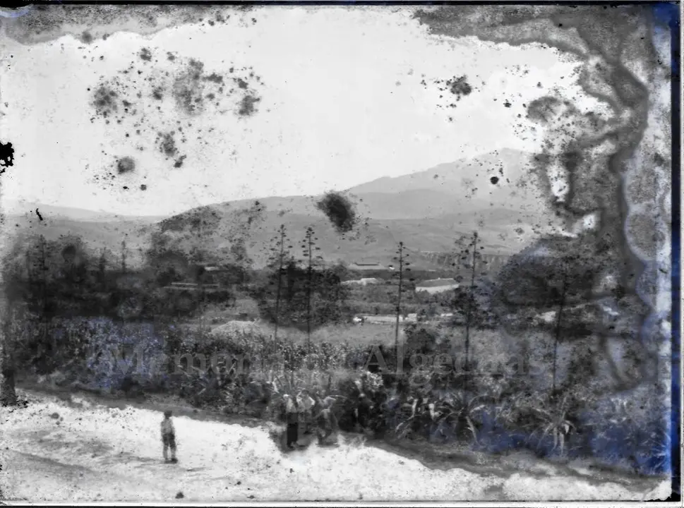 178206141_4523939124300158_1448589739451501506_n