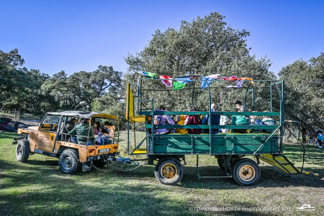 ZFC_7457-2-1006