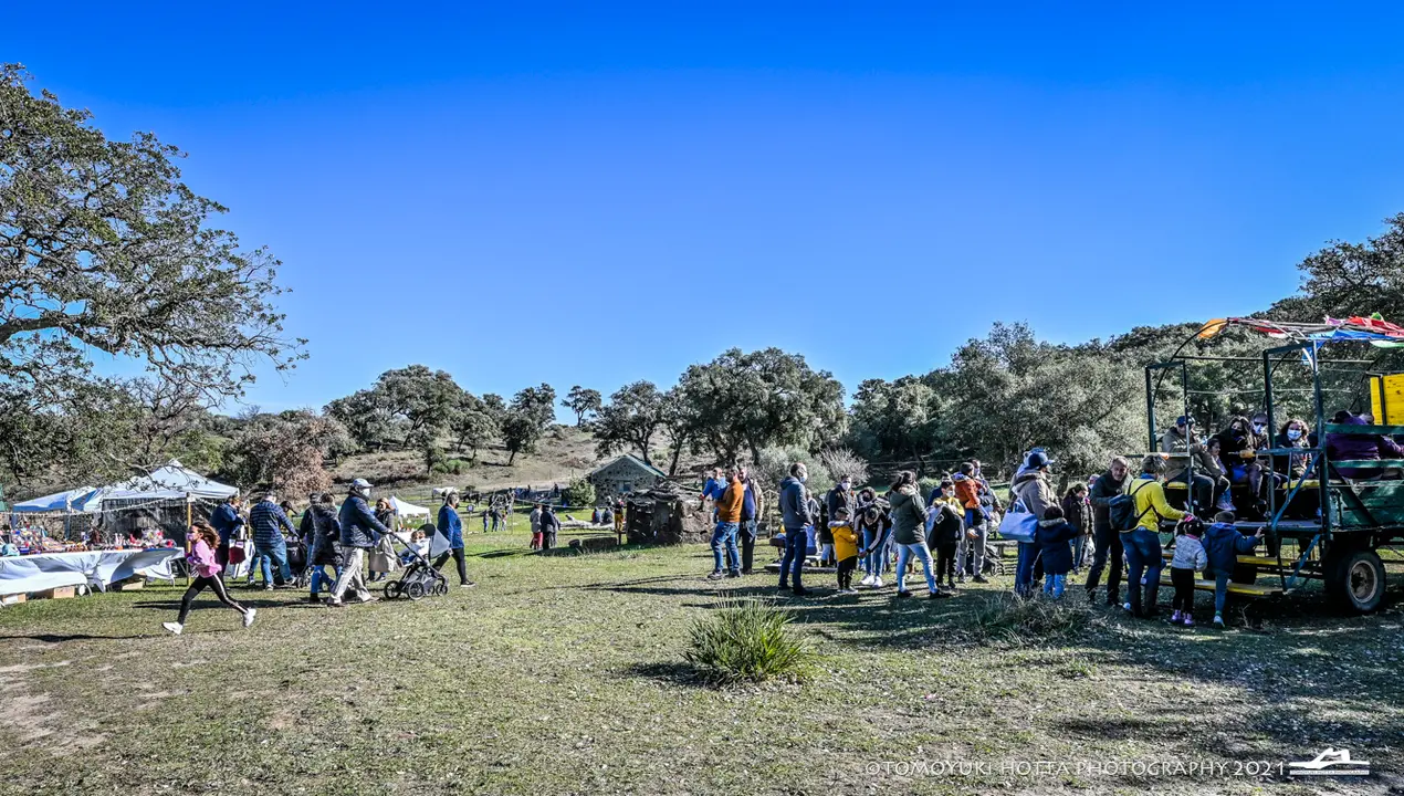 ZFC_7581-2-1030