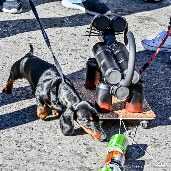 ZFC_0732-2-1022