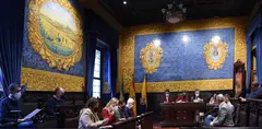 Nuevo proyecto (22)