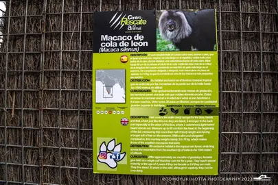 zoocastellar