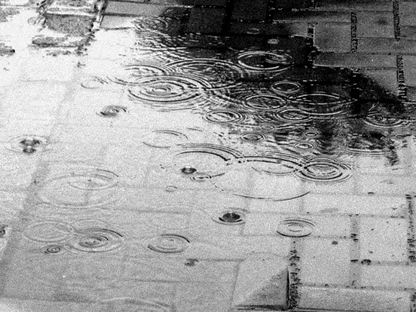 images/stories/food/lluvia23.jpg
