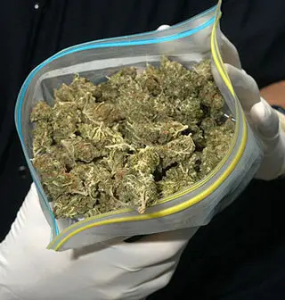 images/stories/Agosto2010/marihuana1.jpg