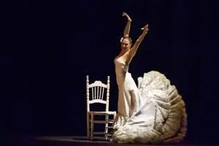 images/stories/2010noviembre3/000flamenco.jpg