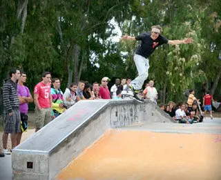 images/stories/2011enero2/skate1.jpg