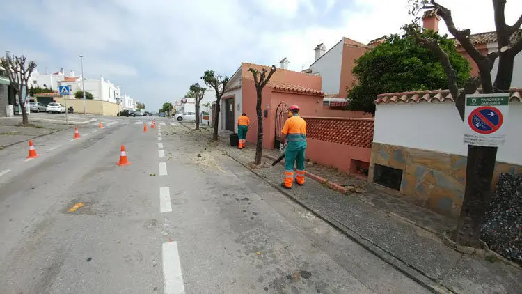 trabajadores de recolte