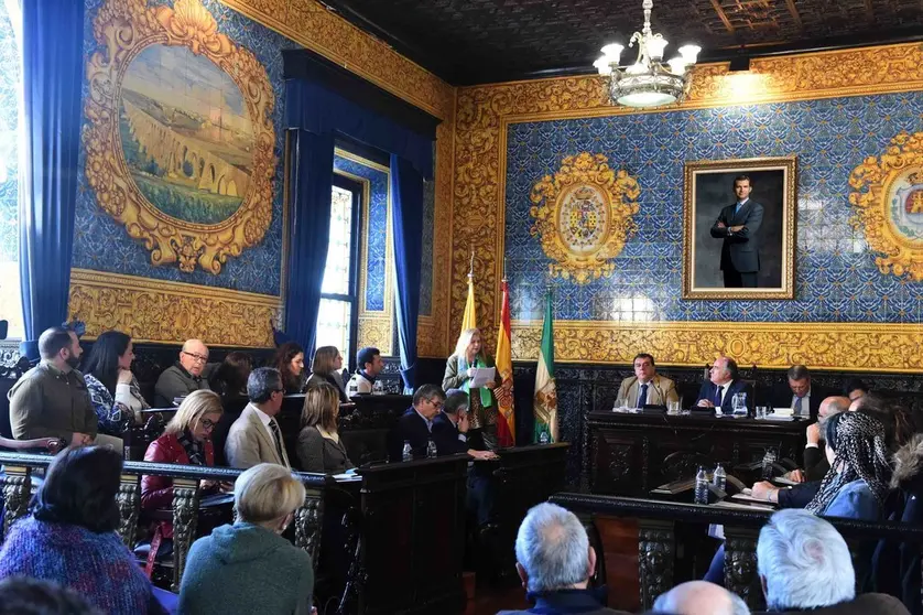 PLENO ORDINARIO