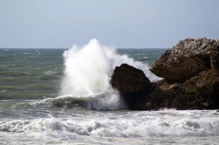 temporal