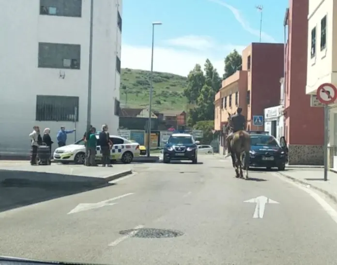 BAJADILLA