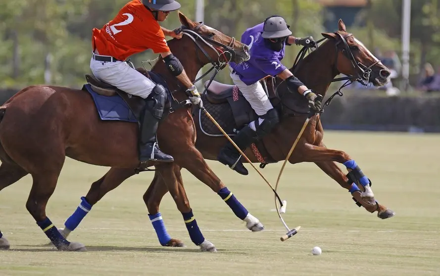 polo