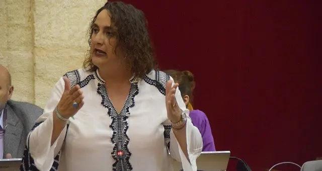 Adelante Andaluc&Atilde;&shy;a pide la comparecencia del Gobierno andaluz para que informe de las medidas sobre el Brexit



&Atilde;ngela Aguilera, parlamentaria de Adelante Andaluc&Atilde;&shy;a por C&Atilde;&iexcl;diz





9/11/2019