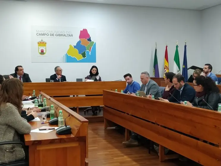 Un momento de la Junta de Comarca.