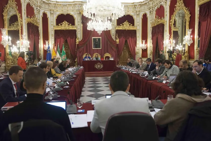 Pleno de Diputaci&oacute;n.