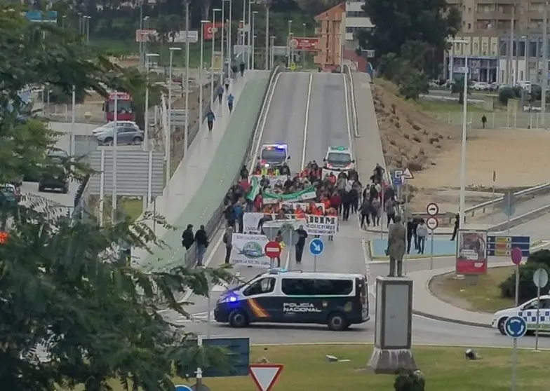 Los manifestantes, durante su recorrido.
