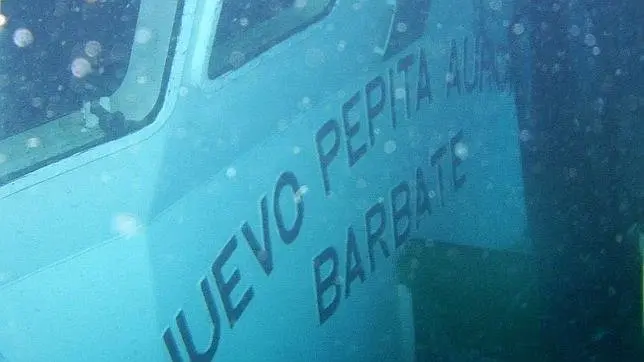 pepita-aurora