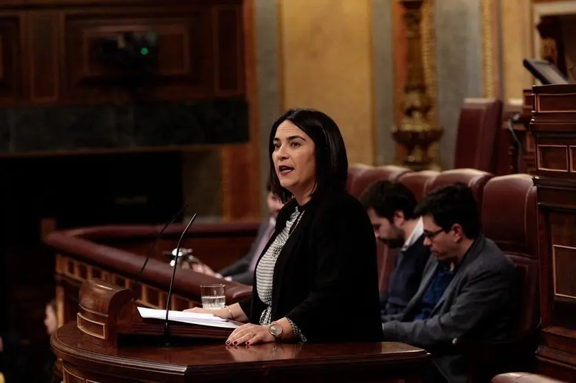 EuropaPress_2664852_Mar&iacute;as_del_Carmen_Mart&iacute;nez_diputada_de_Cs_por_la_provincia_de_C&aacute;diz