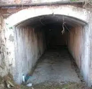 t&uacute;neles