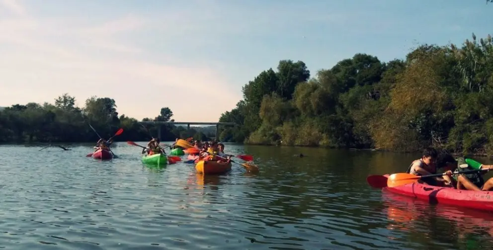 kayaks