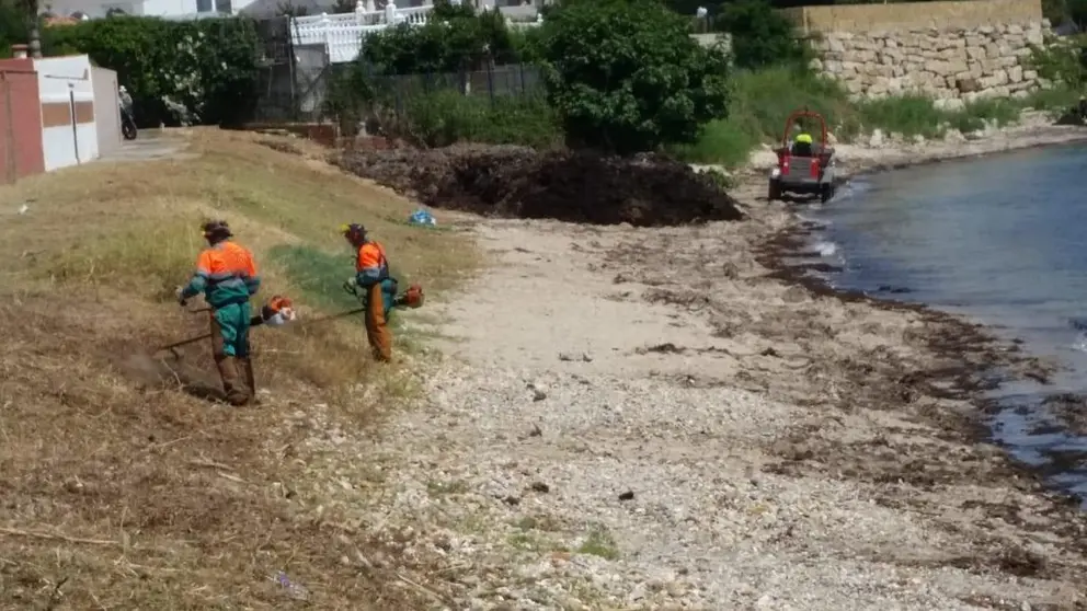 Operarios en la playa de 'El Chinarral'.