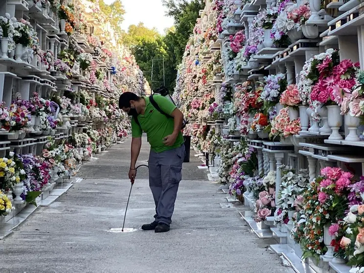 Un operario desinfecta una calle del cementerio.