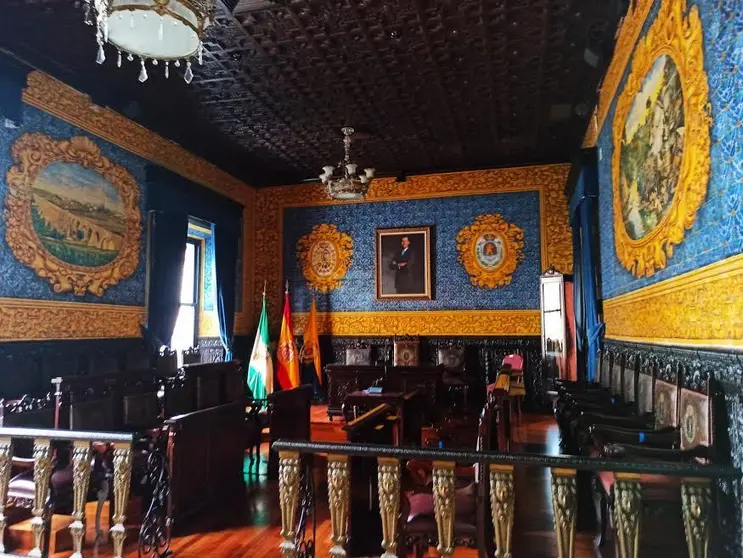 Sal&oacute;n de plenos.