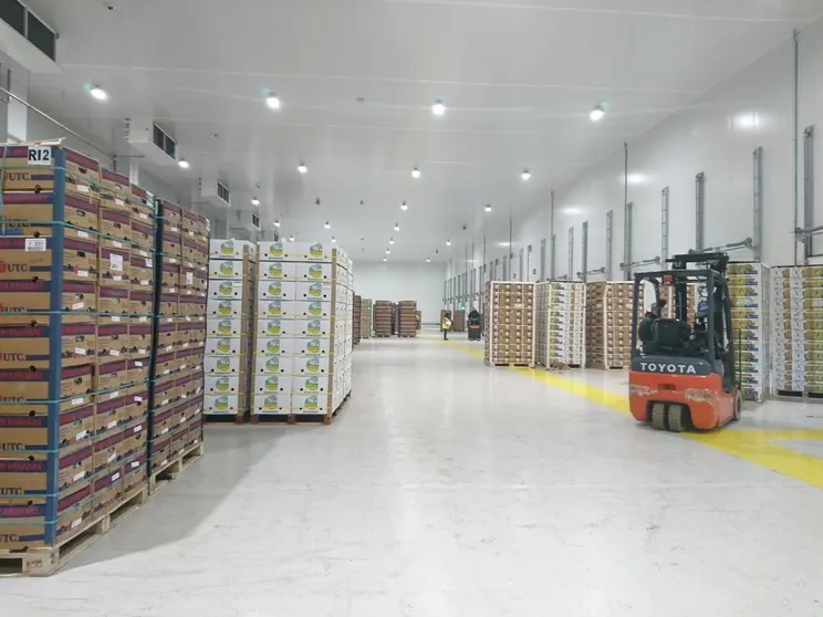 Instalaciones reefer de Agromerchants en el Puerto de Algeciras.