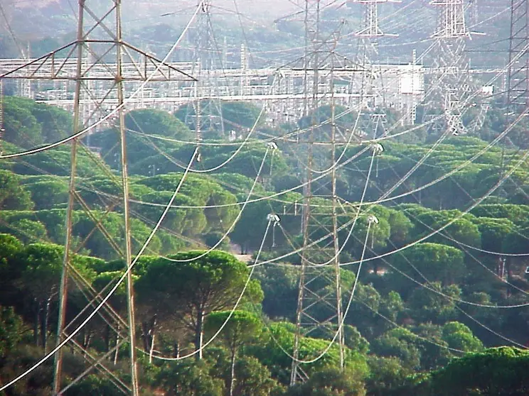 Cables en el Pinar.