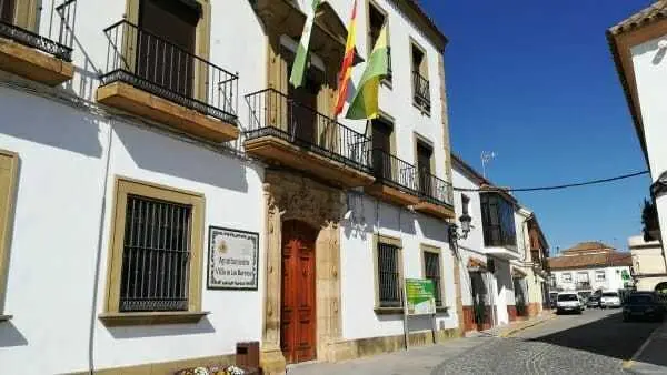 ayuntamiento de los barrios