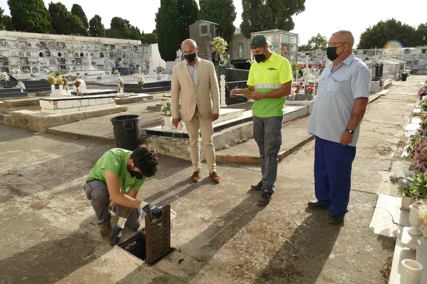 Trabajos en el cementerio antiguo.