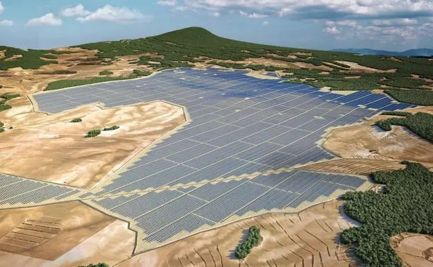 planta de Murcia