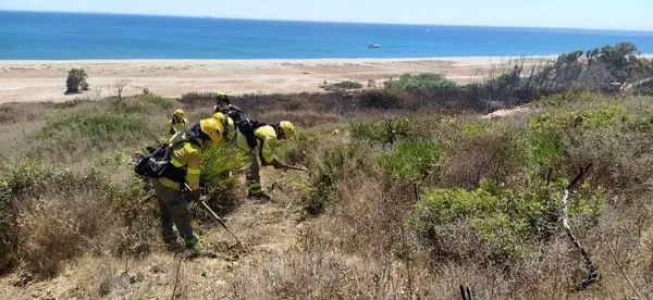 Bomberos, durante el operativo.