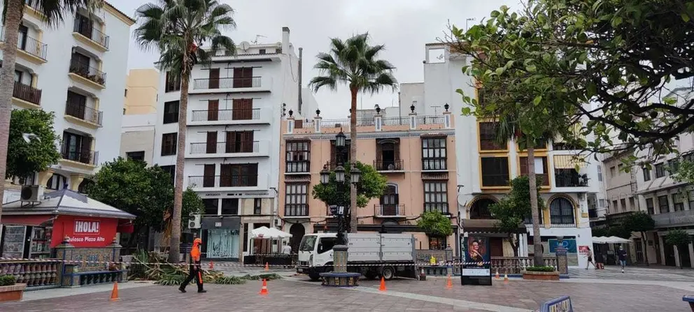 poda plaza alta