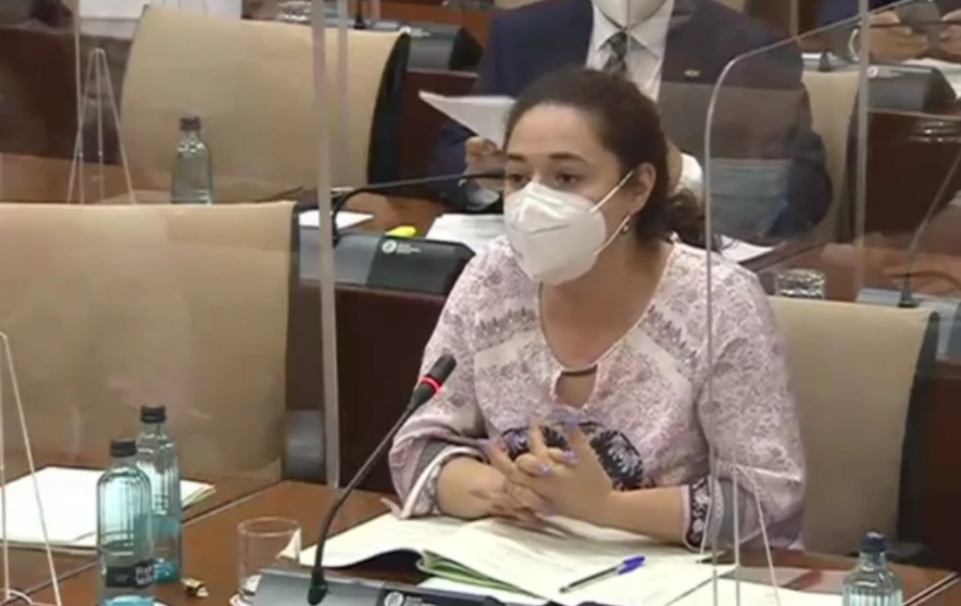 I. Nieto, en la Comisi&oacute;n de Salud de hoy.