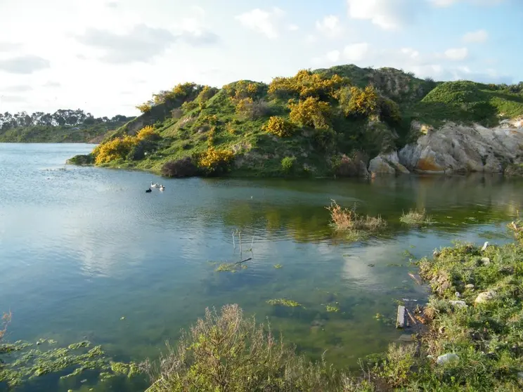 laguna 1