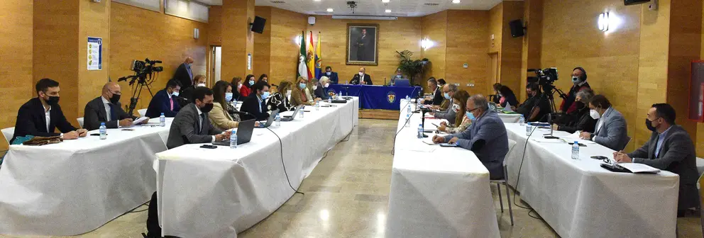 PLENO ORDINARIO