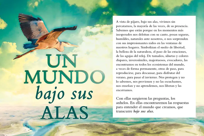 Cubierta bajo sus alas