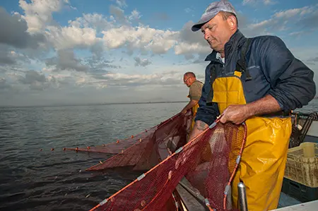 Pesca del sonso. Miguel Murcia, WWF