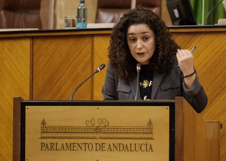 Inmaculada Nieto en intervenci&oacute;n