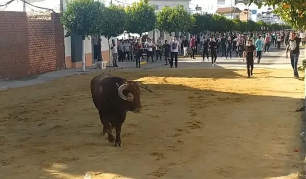 PUERTO SERRANO
