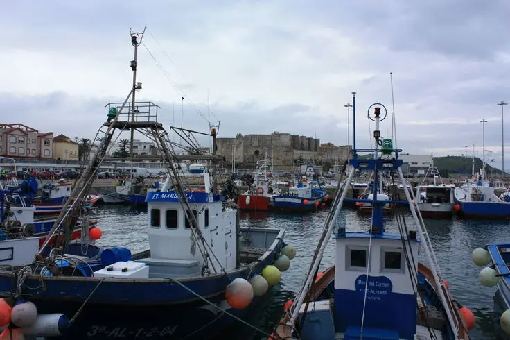 pesca tarifa