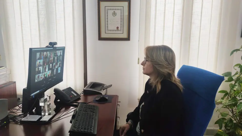 comisi&oacute;n patrimonio