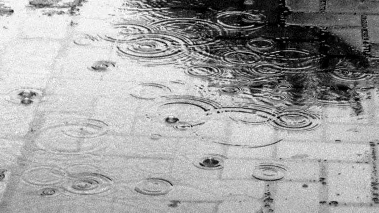 images/stories/food/lluvia23.jpg
