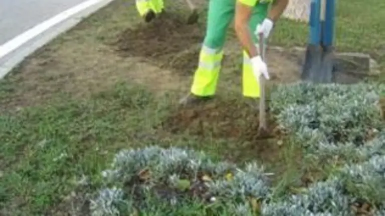 images/stories/abril/jardineros2.jpg
