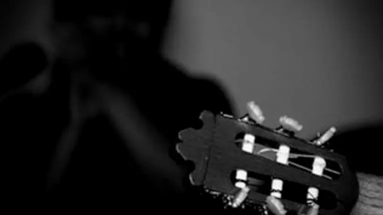 images/stories/mayo1/flamenco.jpg