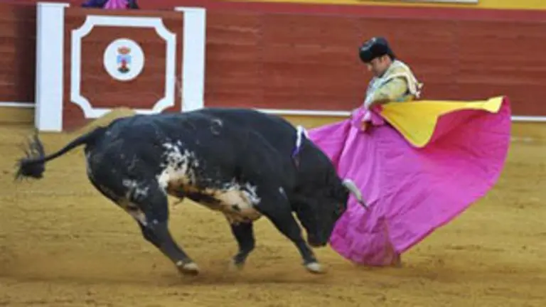 images/stories/Agosto2010/11111111111111111111toros.jpg