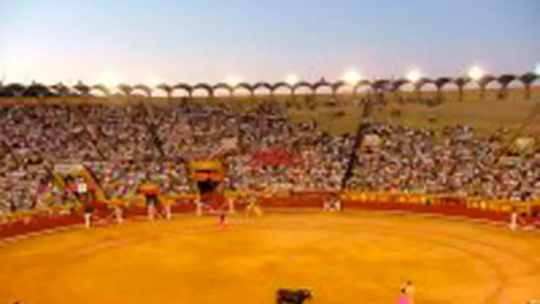 images/stories/2011abril4/toros.jpg